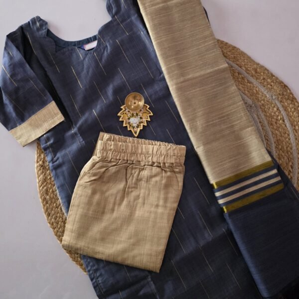 Raw Silk Salwar Set  - Ready to Wear - Elephant Gray
