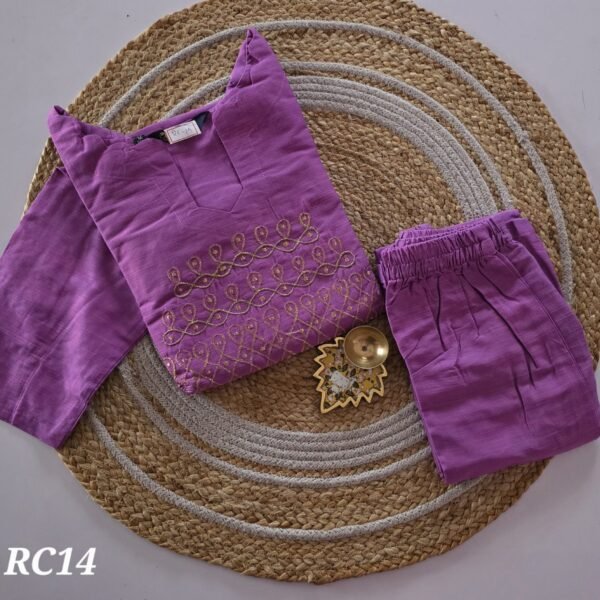 Kolam Semi Raw Silk Co Ord Set - RC14