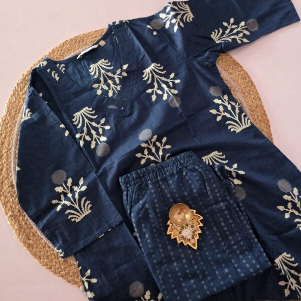 Jaipur Cotton Co Ord Set - COS15